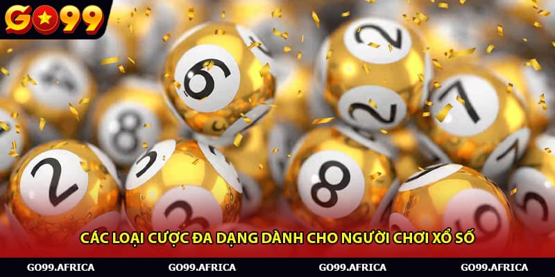 Các loại cược đa dạng dành cho người chơi Xổ Số