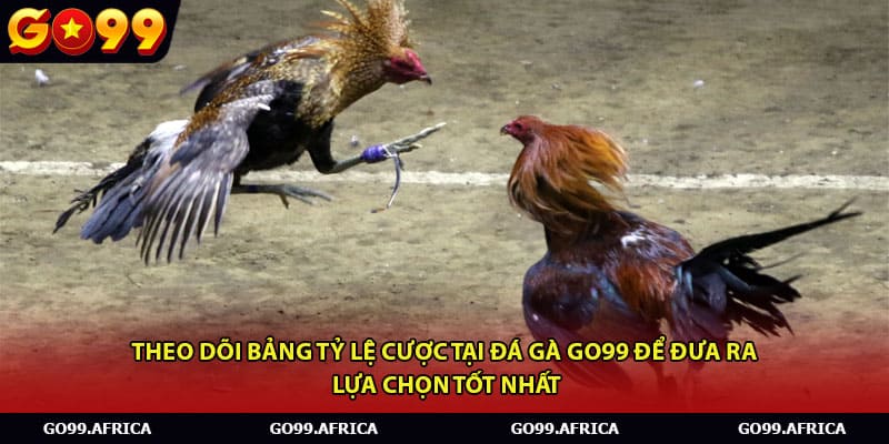 Theo dõi bảng tỷ lệ cược tại đá gà Go99 để đưa ra lựa chọn tốt nhất